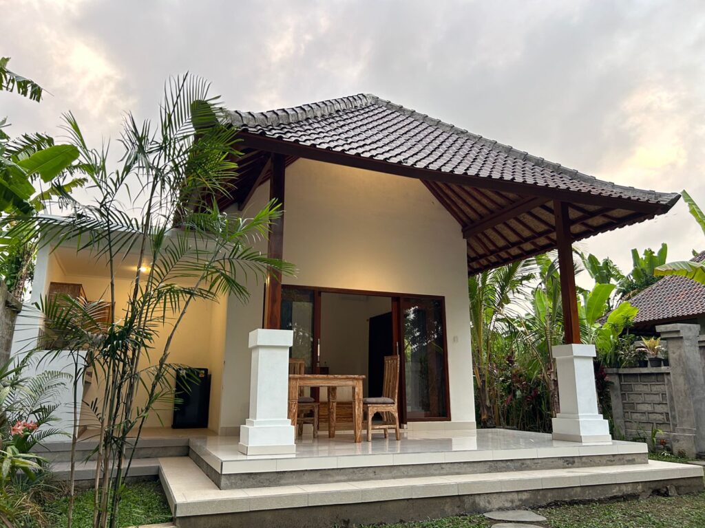 WhatsApp Image 2024-12-03 at 2.24.46 PM